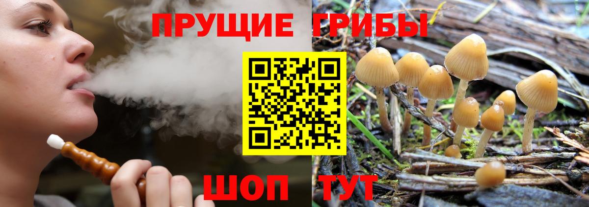 Псилоцибиновые грибы мицелий  закладка  Торжок  Псилоцибиновые грибы мухоморы  Вход с VPN 
